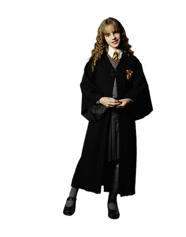 Hermione Granger - Harry Potter - The Nick Nackery