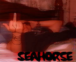 Seahorse aka Me