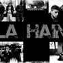 la haine