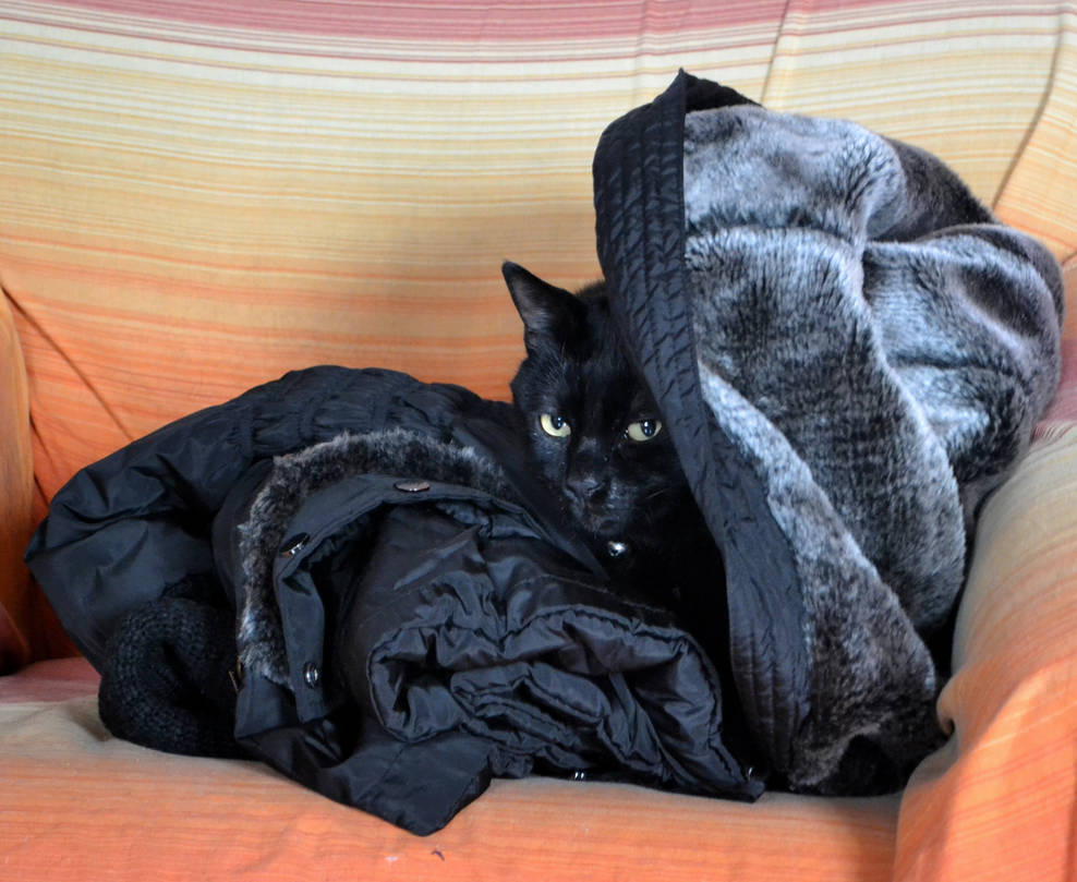 My coat has a face!!!! by IllyDragonfly My coat has a face!!!! by IllyDragonfly