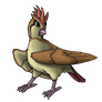 017 Pidgeotto