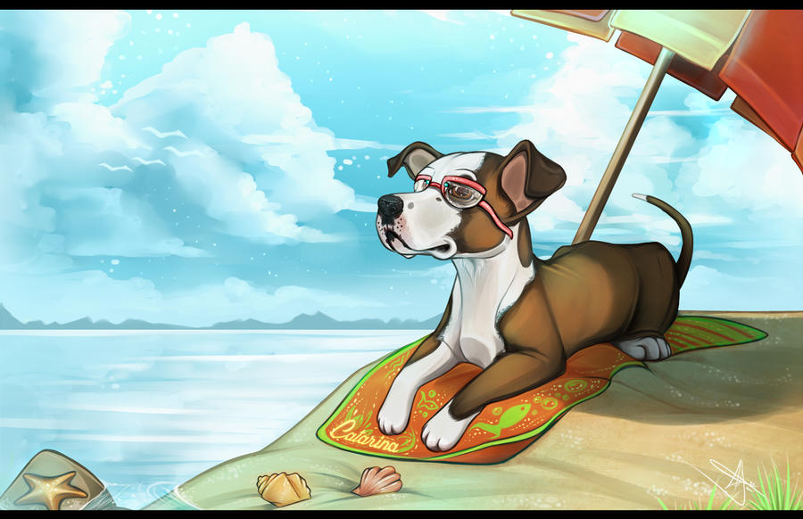 Cat at the Beach by GoPuppy