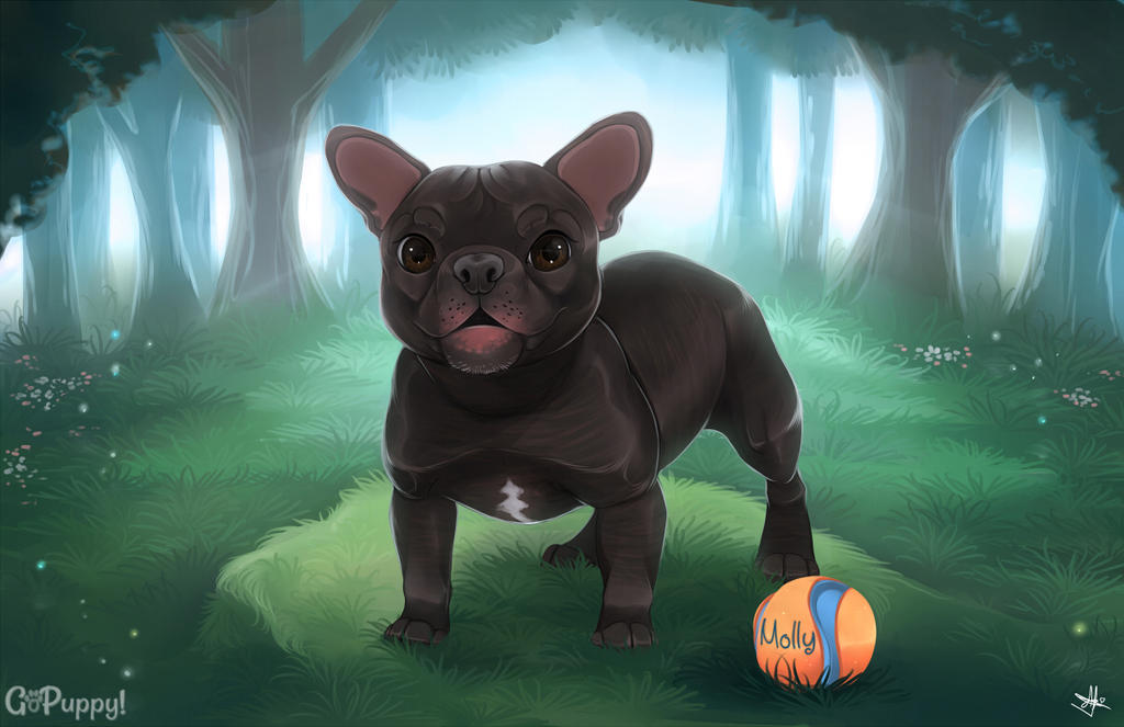 Molly + Video! by GoPuppy