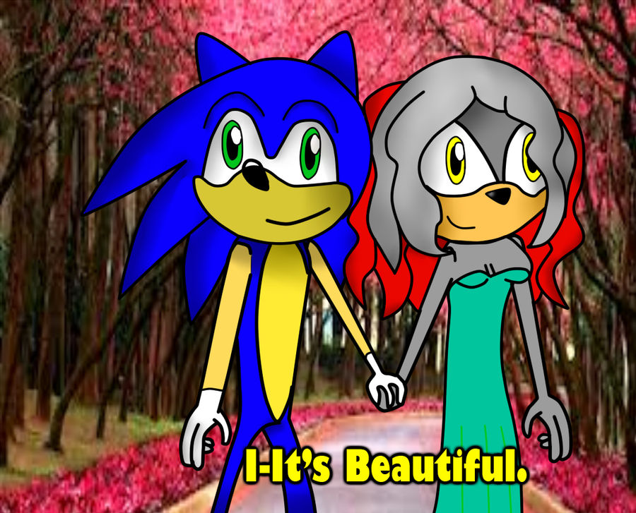 Fake Sonic ScreenShot: Made in Japan by SonicLuver1 on DeviantArt