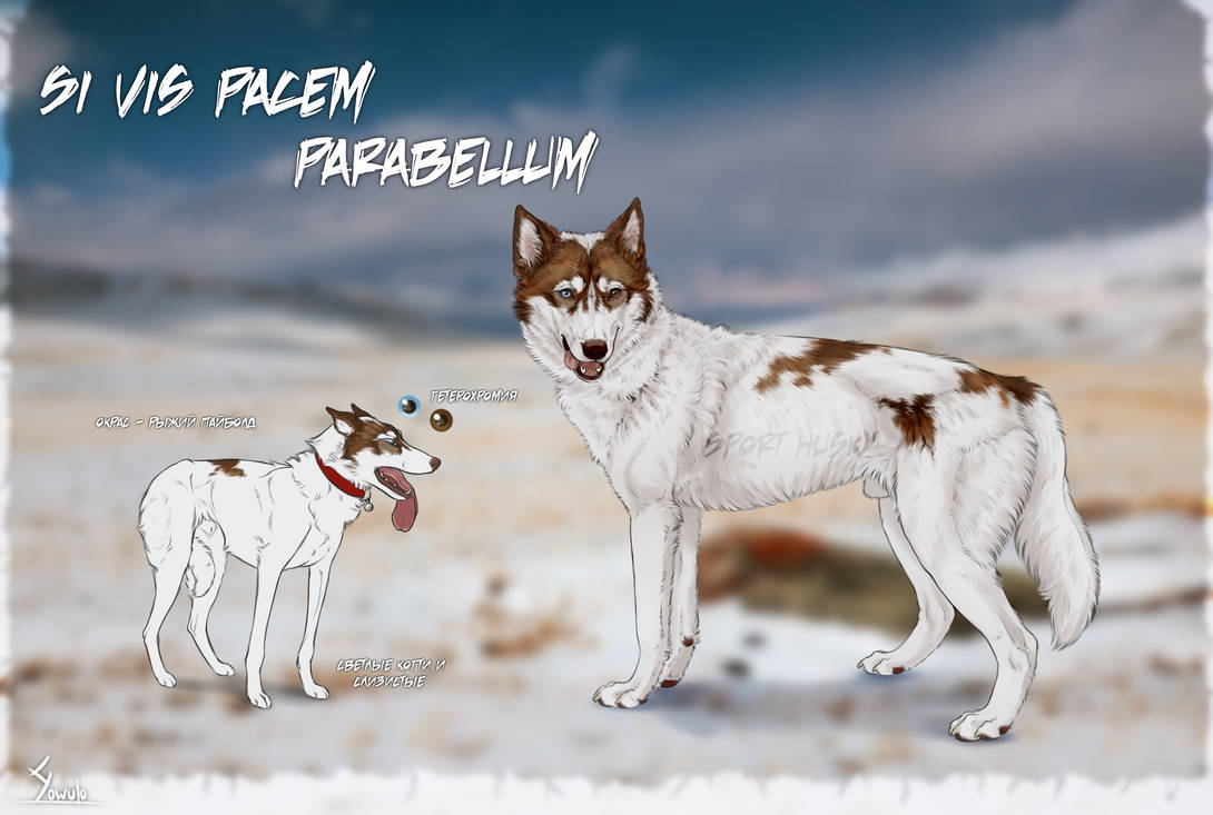 Husky Deviantart Sport husky design by HighChaparral on DeviantArt