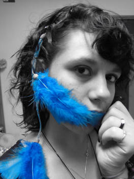 Blue Feathers