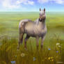 DTIYS entry (Clover for astbille)