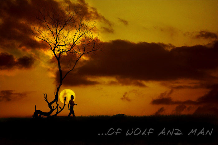 ...of Wolf and Man