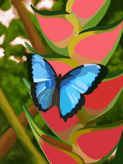 Morpho Butterfly