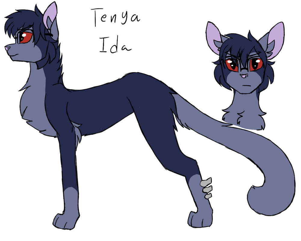 Oida Cat Iida Cat Ref by Silvea129 on DeviantArt