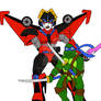 TF X TMNT: Leo and Windblade