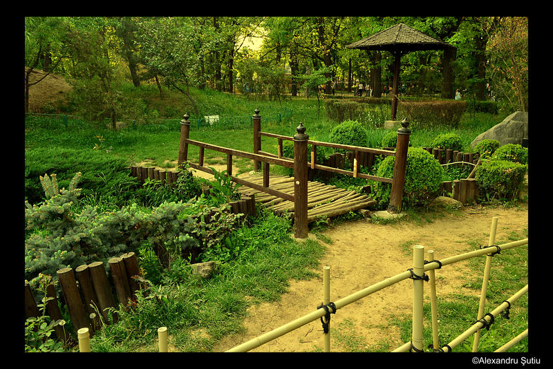 Japanese Garden