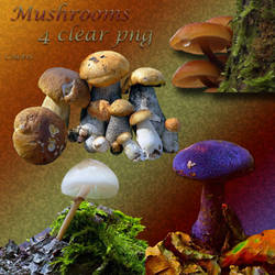 Mushrooms