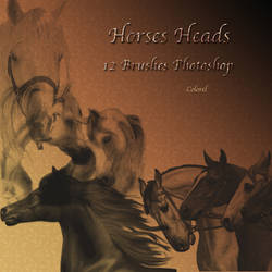 horses heads