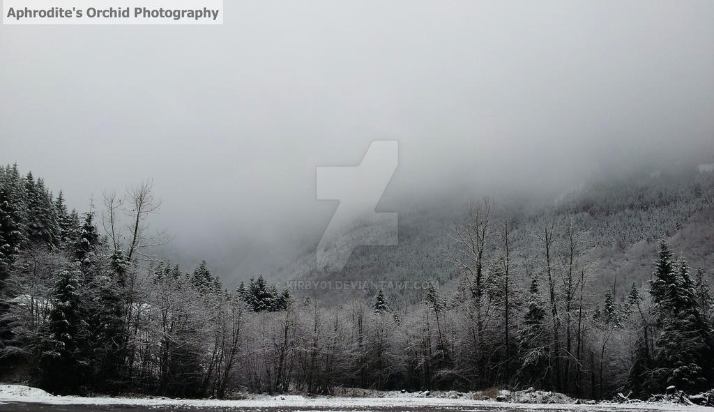 Oregon Snow