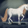 Magic white horse
