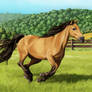 Buckskin horse running in the field