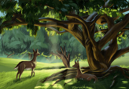 Deers in the forest