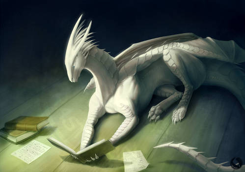 Book dragon