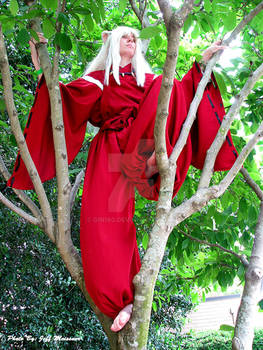 Inuyasha 2