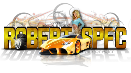 Sign 3D - Carro - ROBERT_SPFC