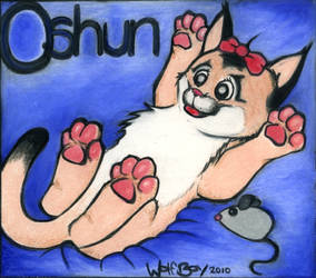 Surprise Kitty Oshun Badge :3