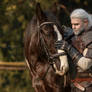 My Geralt cosplay with roach.