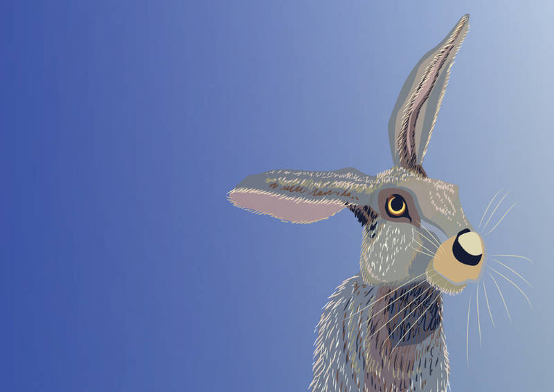 Easter Card: Cousin Softnose by Starsong-Studio