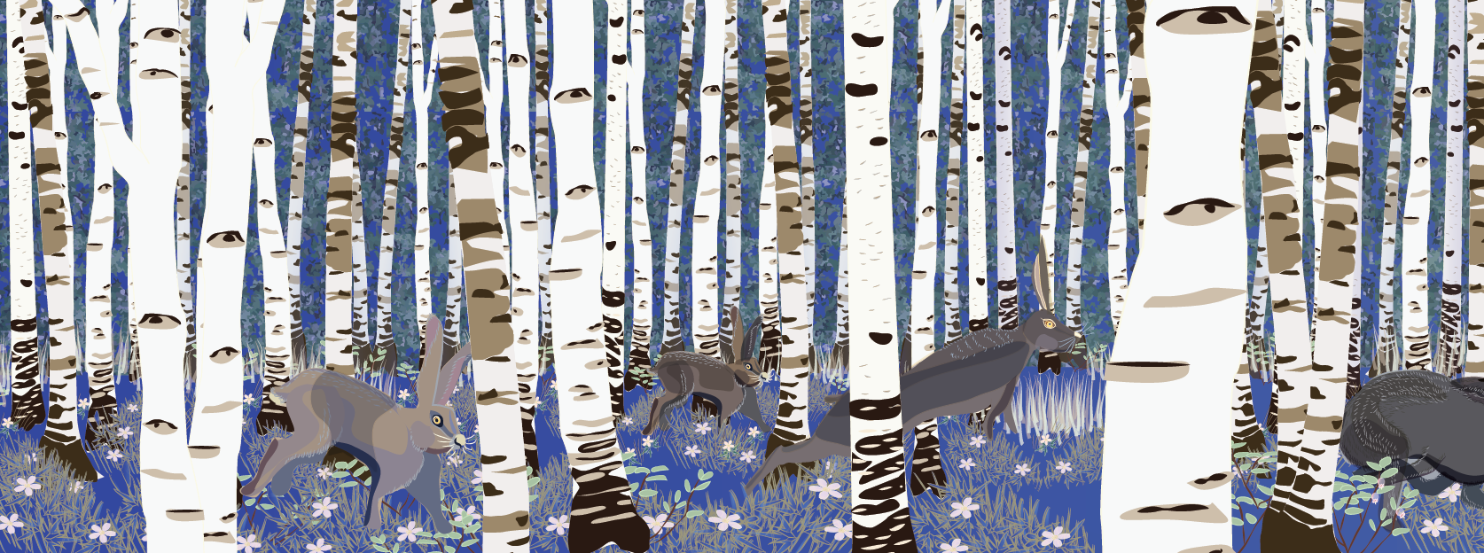 Hares hopping 1
