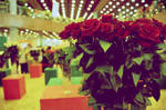 Vintage Roses by raoros