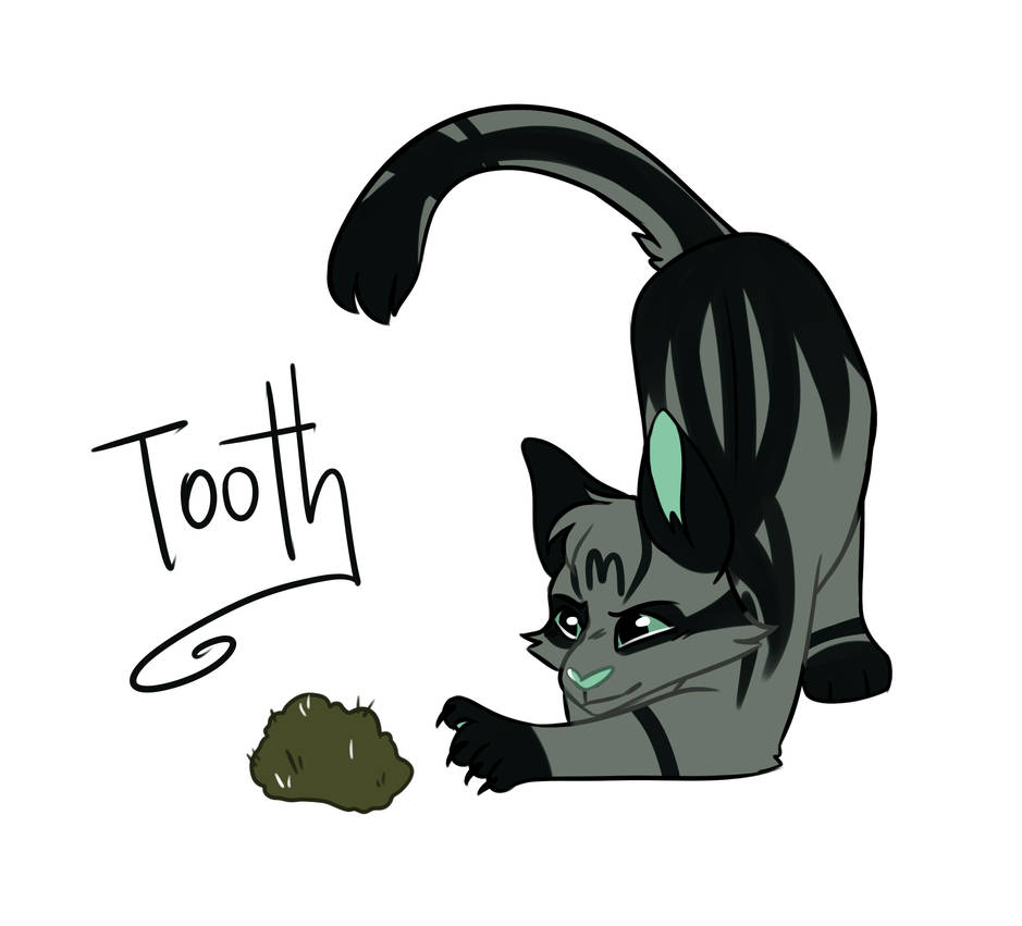 Tooth /Ref/ by Tiny-Winy on DeviantArt