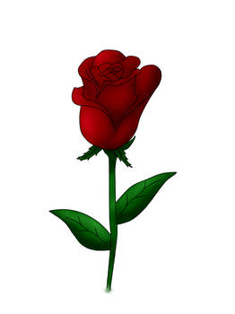 Rose for all women