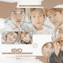 [PNG PACK] EXO - (ARTIST FLO)