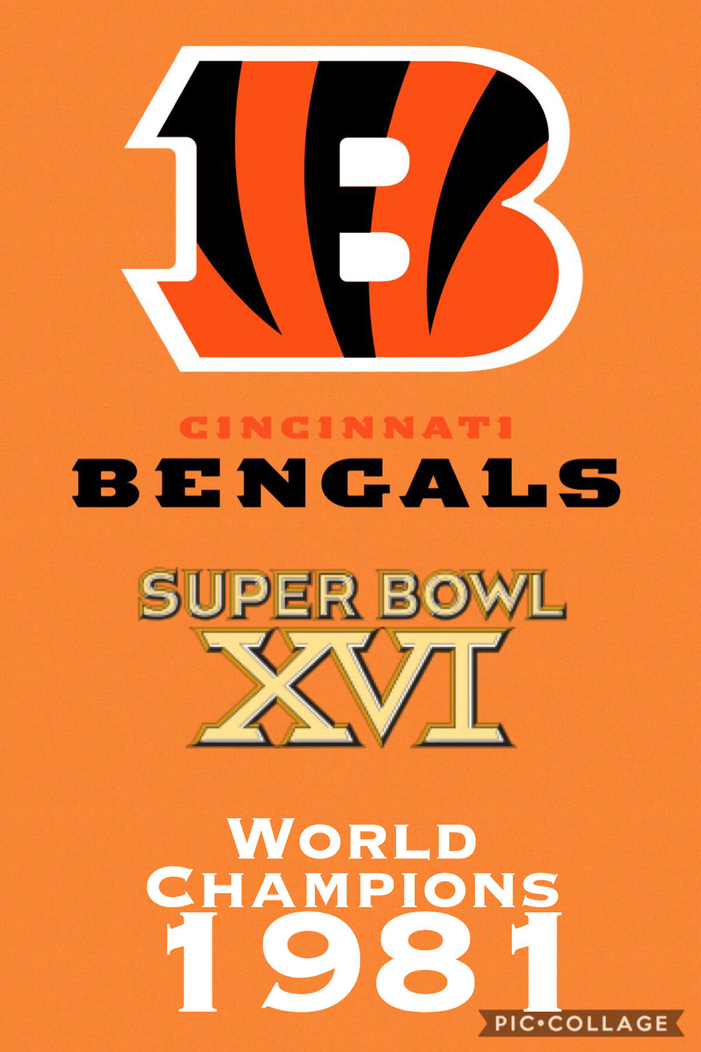 [Image: 1981_cincinnati_bengals_world_champions_...Cekbhqr8jc]