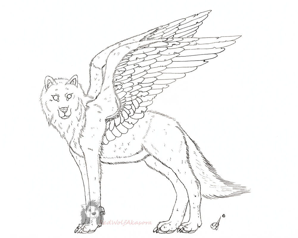 Winged Wolf Lineart By RedWolfAkasora On DeviantArt.