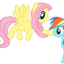 Fluttershy and Rainbow Dash