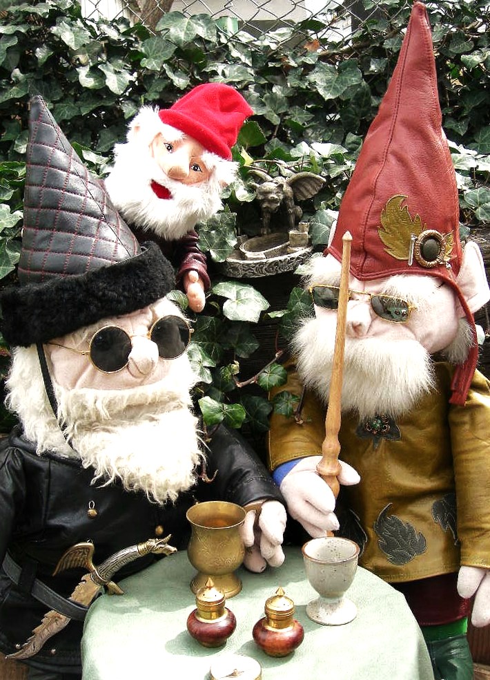 Cool Gnome Dudes 1