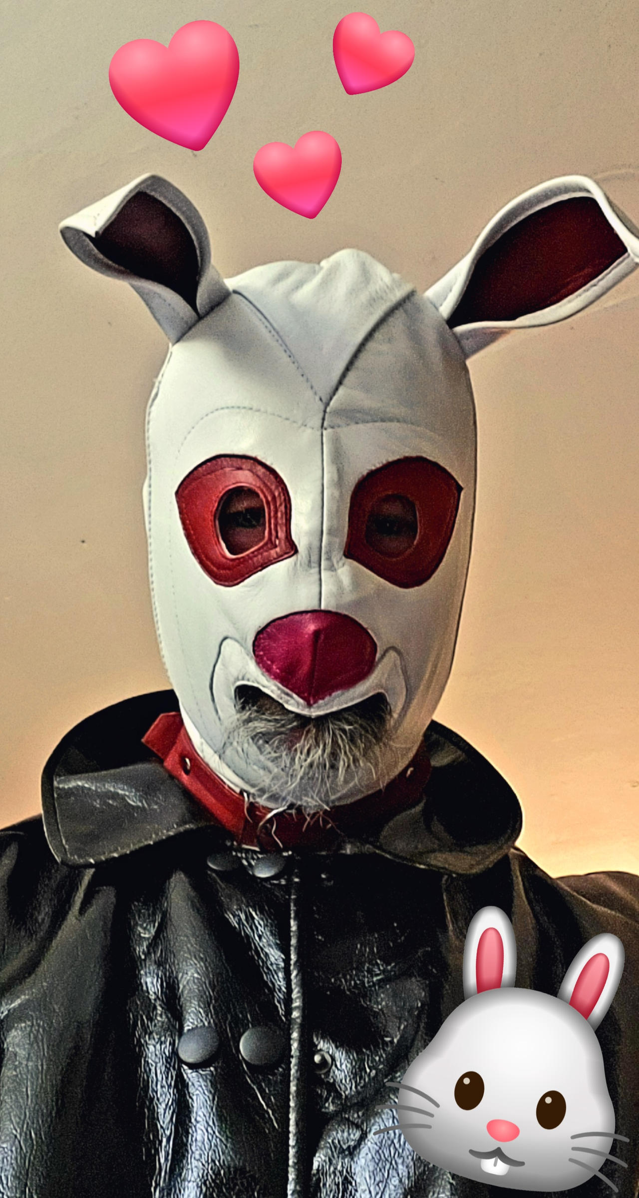 Leather Rabit White Leather Rabbit by LeatherHead72 on DeviantArt