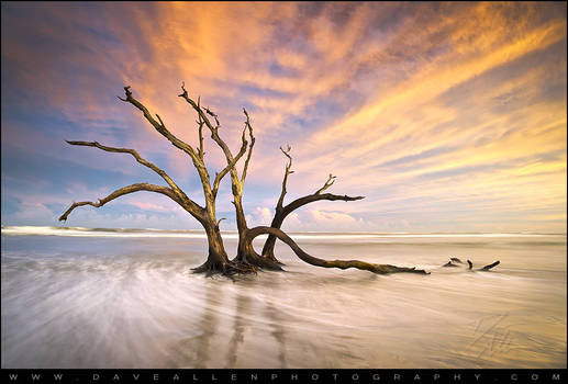 The Calm - Folly Beach Sunset