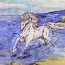 Horse on the beach by Mimy