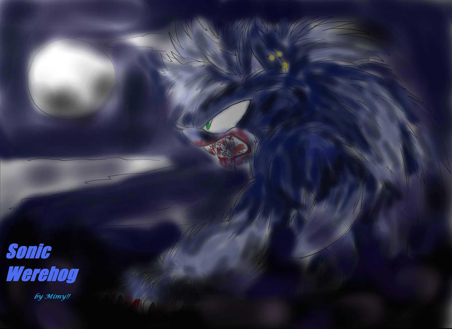 SONIC werehog by Mimy92Sonadow on DeviantArt