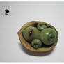 Mini walnut monster 1 +for sale +