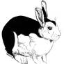 Bunnicula