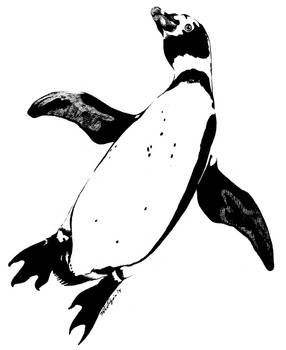 Penguin