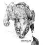 Fossa