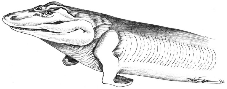 Tiktaalik rosae