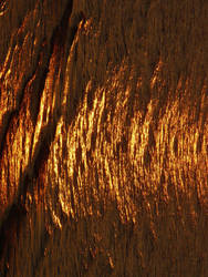 Golden waves