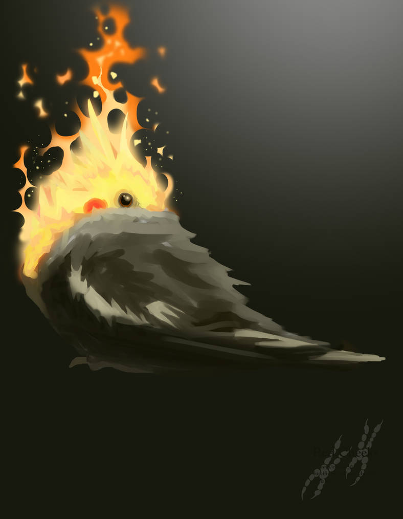 Fire by R-Cheeks on DeviantArt