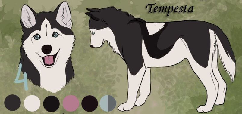 Tempesta - New Character