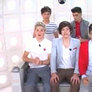 One Direction French Interview